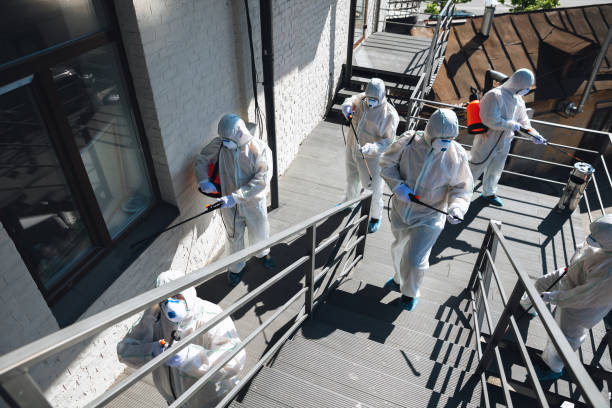 Best HVAC Mold Inspection and Cleaning  in Glyndon, MN