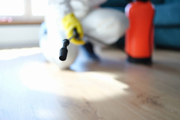 Best Mold Documentation for Insurance Claims  in Glyndon, MN