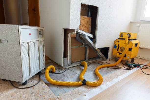 Best Commercial Mold Inspection  in Glyndon, MN