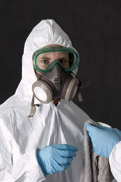 Best Crawl Space Mold Remediation  in Glyndon, MN